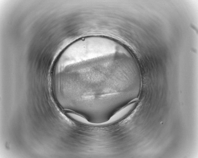 X0000093221517200710241207