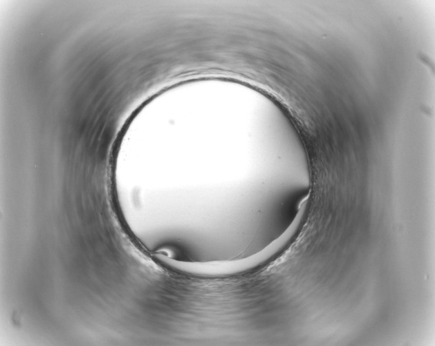 X0000093221518200710241207