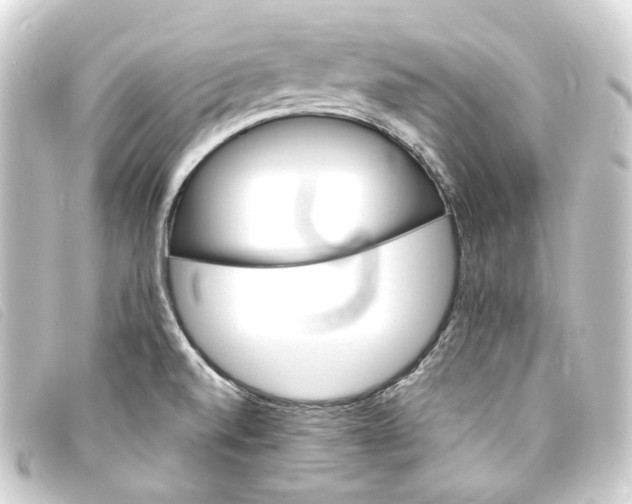 X0000093221520200710241207