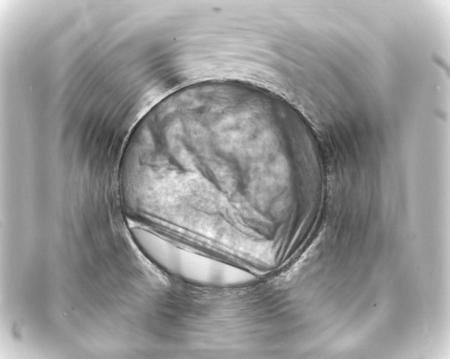 X0000093221521200710241207