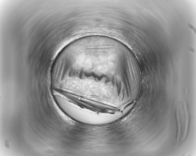 X0000093221523200710241207