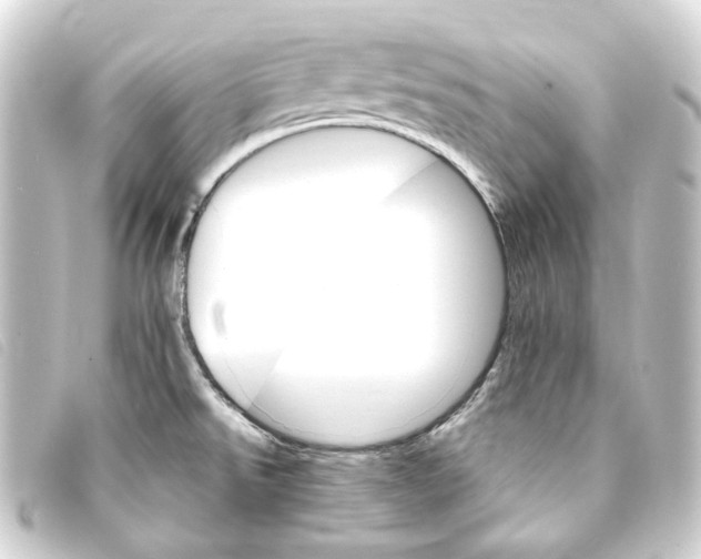 X0000093221526200710241207