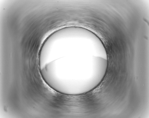 X0000093221527200710241207