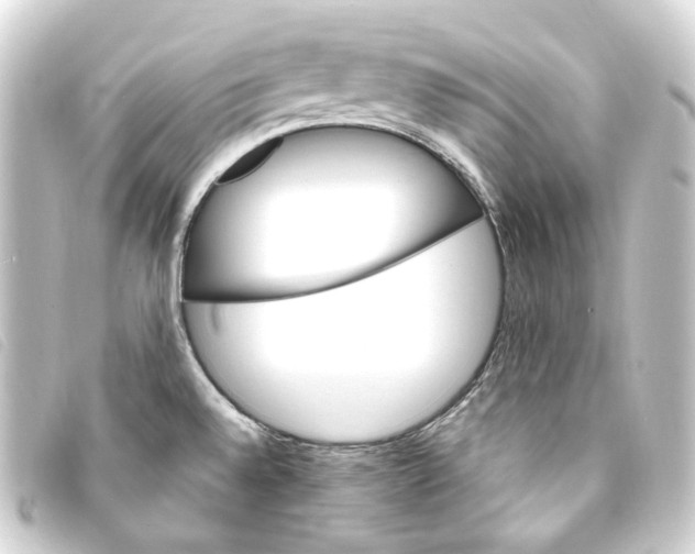 X0000093221528200710241207