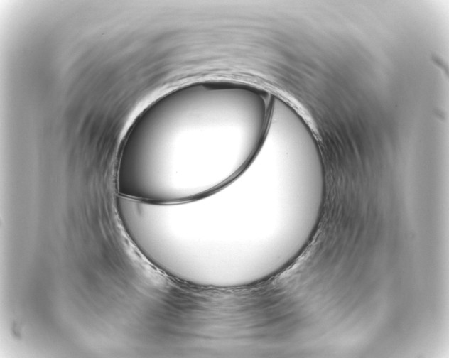 X0000093221530200710241207