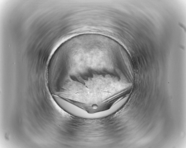 X0000093221531200710241207