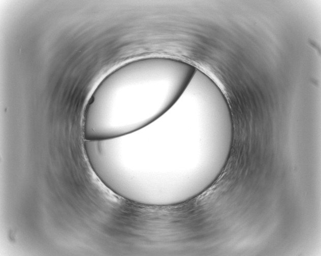 X0000093221532200710241207