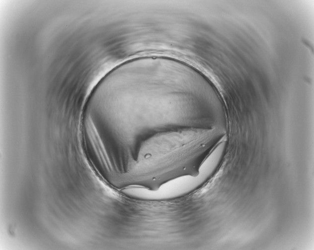 X0000093221533200710241207