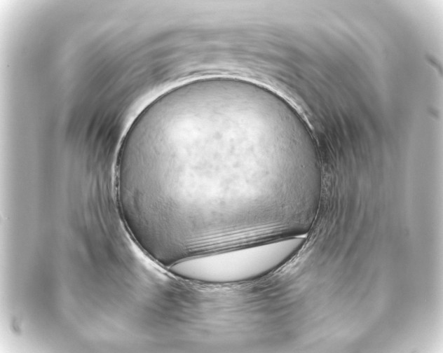 X0000093221535200710241207