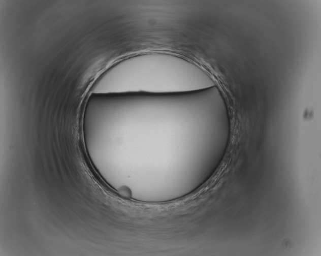 X0000093230002200709261519