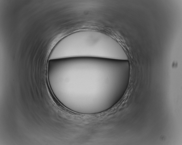 X0000093230003200709261519