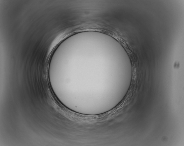 X0000093230004200709261519