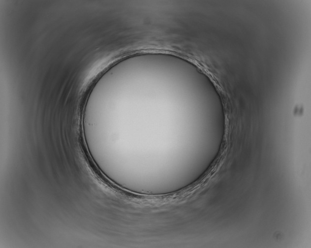 X0000093230005200709261519