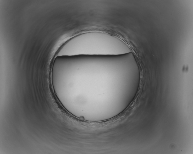 X0000093230006200709261519