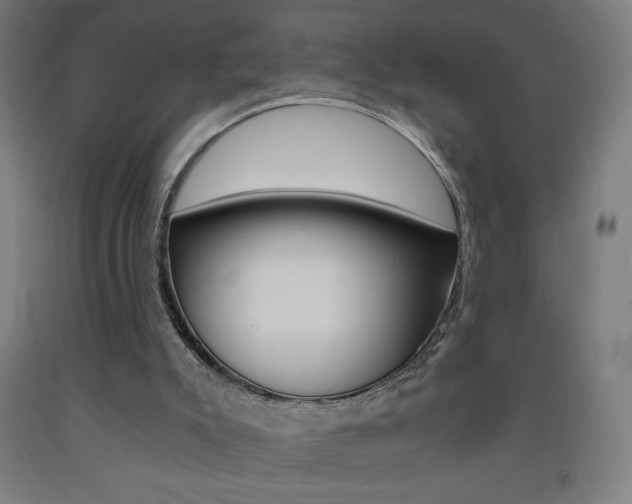X0000093230007200709261519