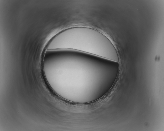 X0000093230008200709261519