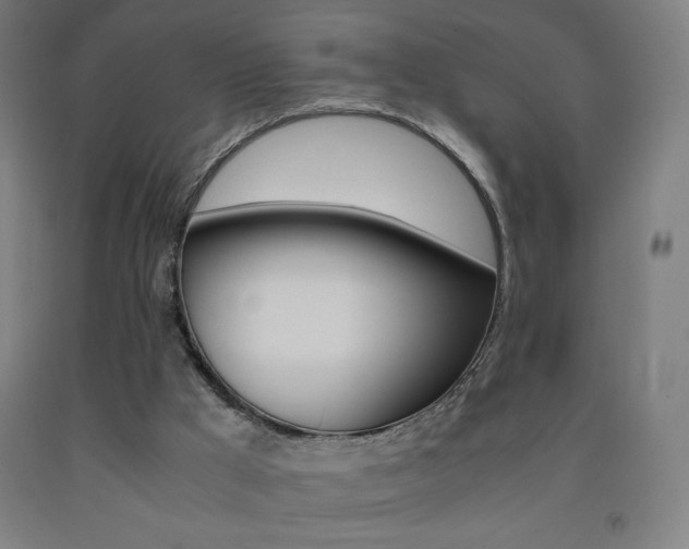 X0000093230009200709261518