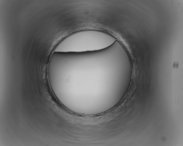 X0000093230010200709261518