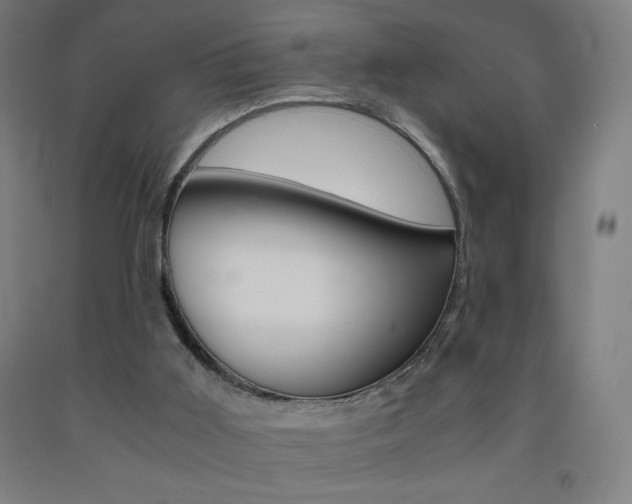 X0000093230011200709261518