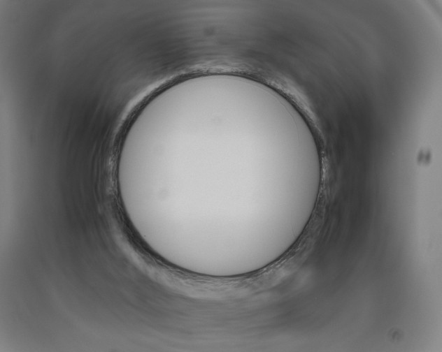 X0000093230012200709261518