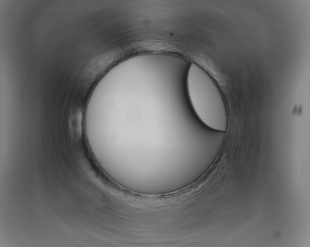 X0000093230014200709261518