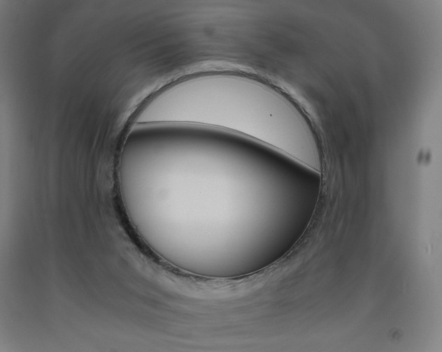 X0000093230015200709261518