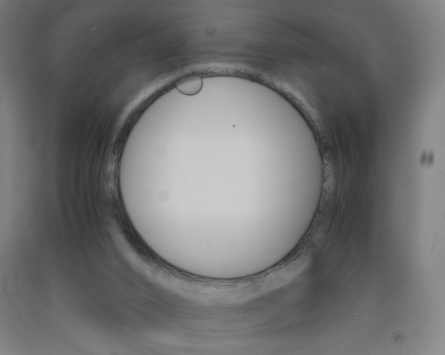 X0000093230016200709261518