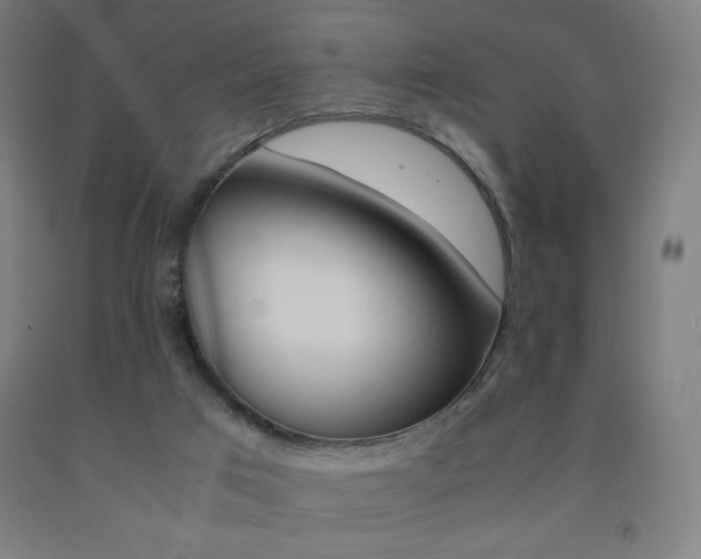 X0000093230017200709261518