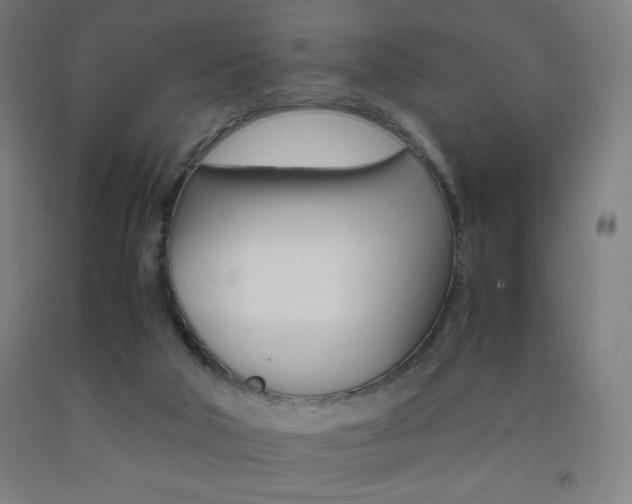 X0000093230018200709261518