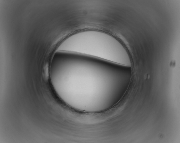 X0000093230020200709261518