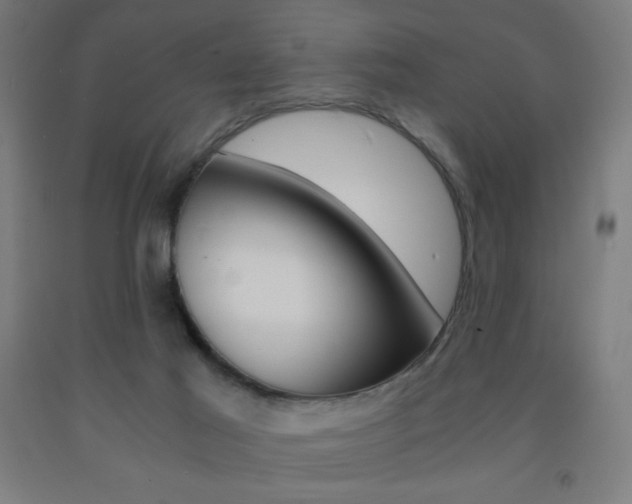 X0000093230021200709261518