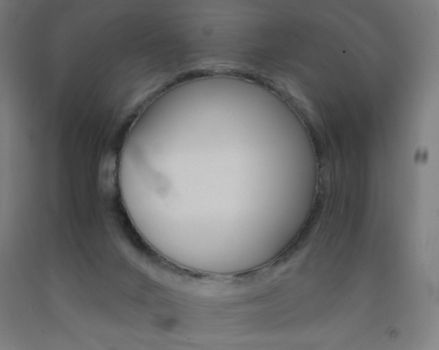 X0000093230024200709261518