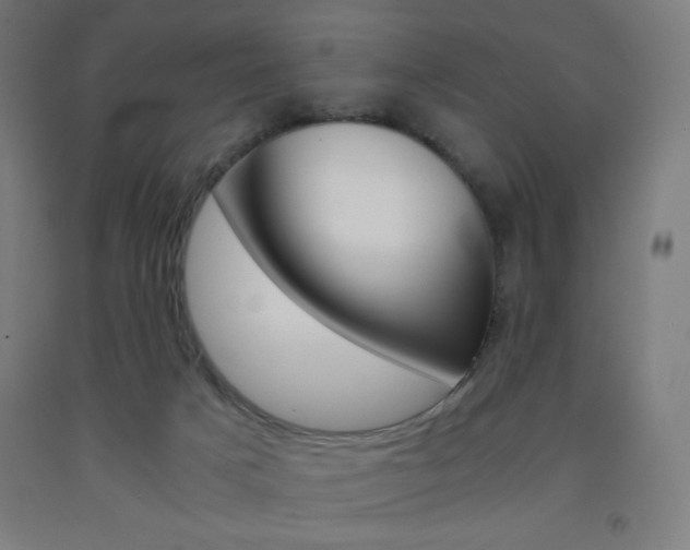 X0000093230025200709261518