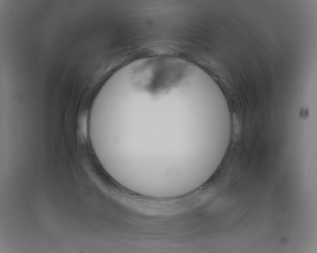 X0000093230028200709261518