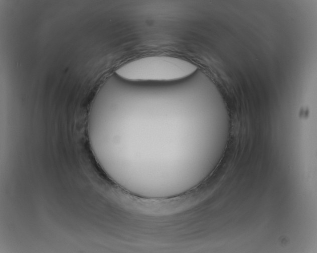 X0000093230030200709261518