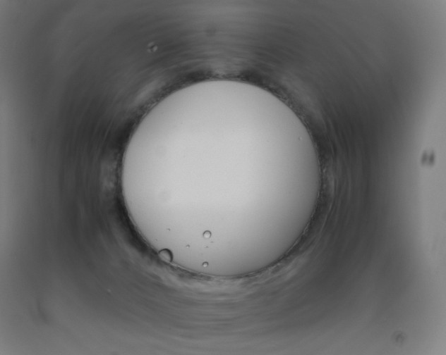 X0000093230032200709261518