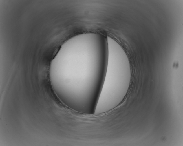 X0000093230033200709261518