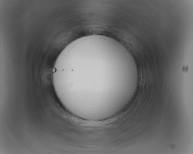 X0000093230034200709261518