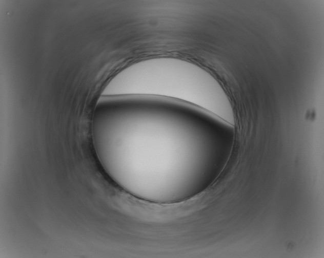 X0000093230035200709261518