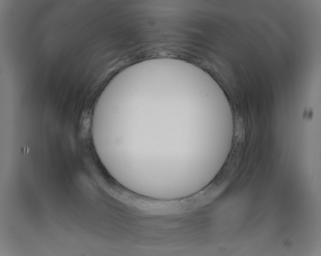 X0000093230036200709261518