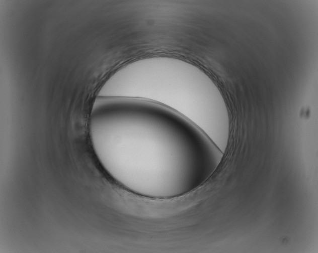 X0000093230039200709261518