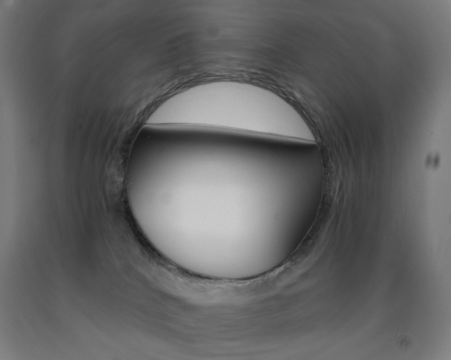X0000093230040200709261518
