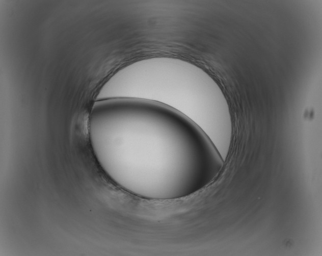 X0000093230041200709261518