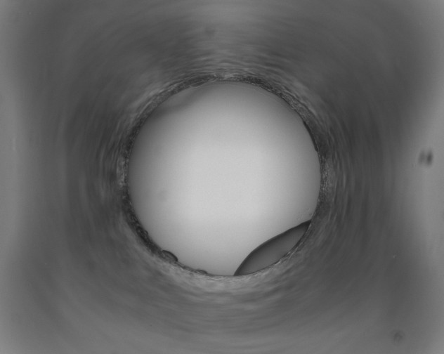 X0000093230043200709261518