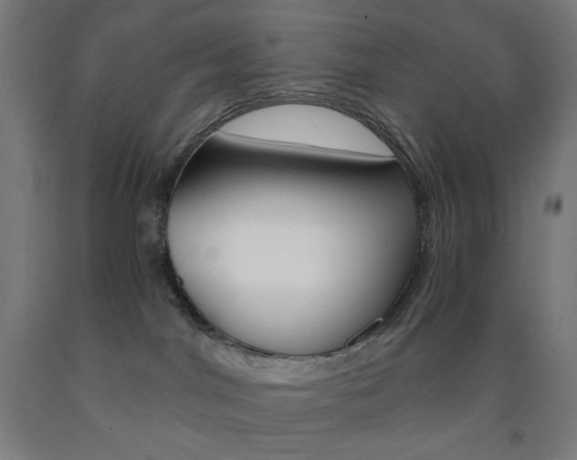 X0000093230044200709261518