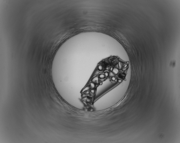 X0000093230045200709261518
