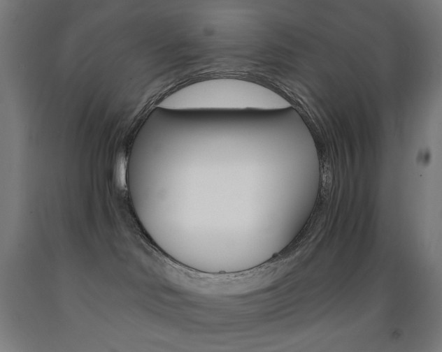X0000093230046200709261518