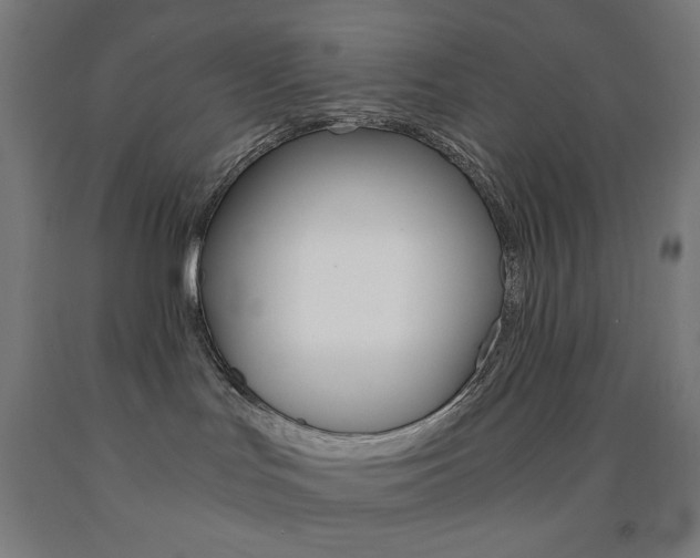 X0000093230047200709261518