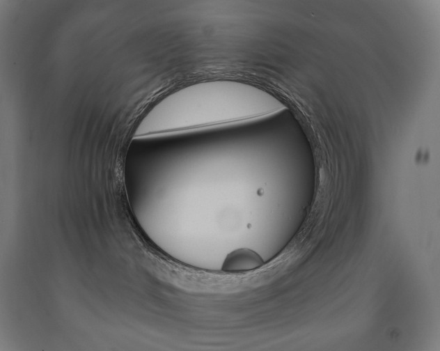 X0000093230048200709261518