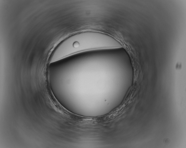 X0000093230050200709261517
